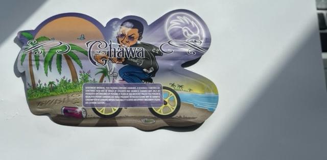 Ziplock Bags - Set van 10